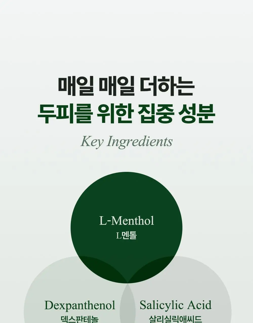 [두피영양제/탈모관리] 달리프 클로렐라 베러루트 헤어토닉 100ml+50ml 기획세트(단품/기획) 상세페이지 27